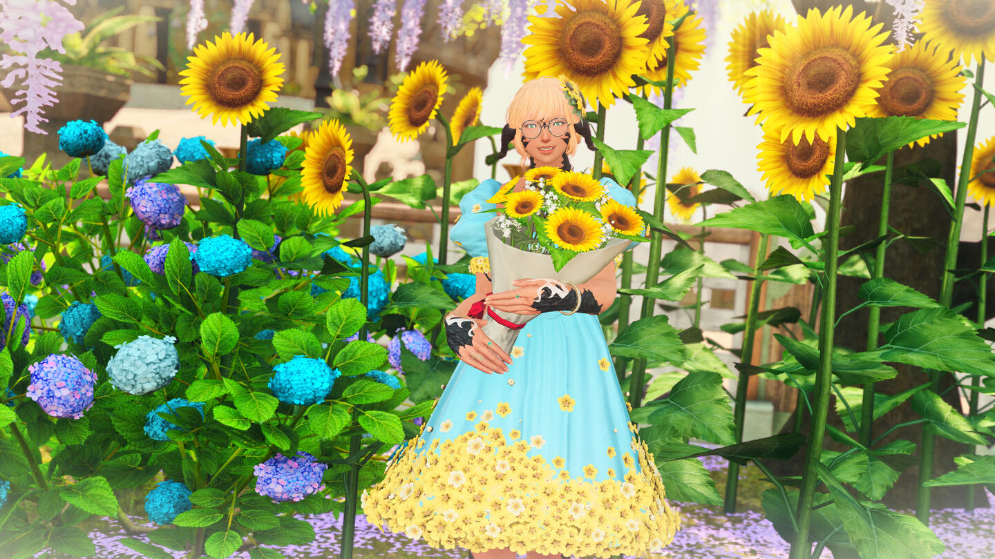 Sunflower Sunflower